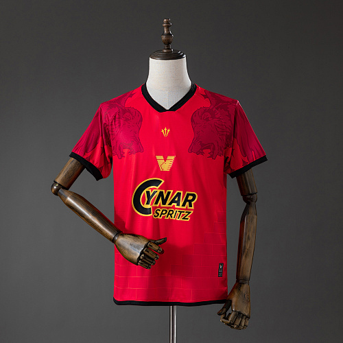 Venezia 25/26 Edição especial Fourth Camisa S-XXL