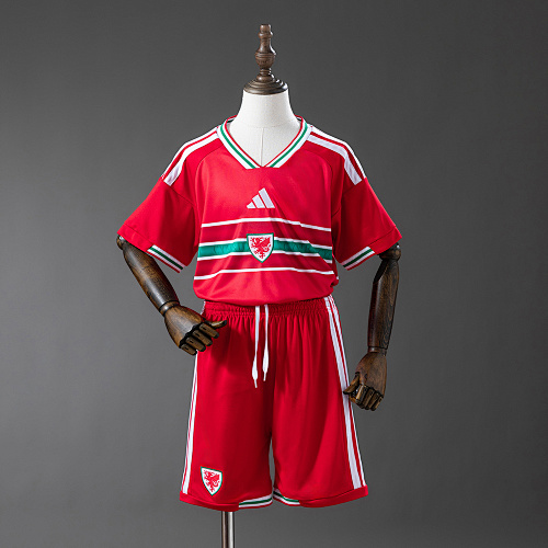 Wales 2026 Titular Kit infantil Tamanho 16-28