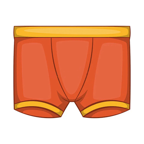 panties