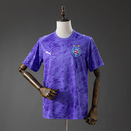 Bahia 26/27 Goleiro-Purple Camisa S-4XL